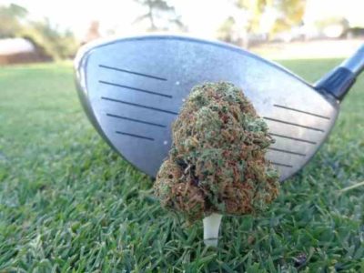Michigan marijuana on golf course
