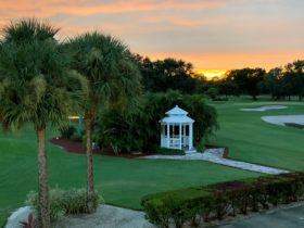 Golf in Orlando