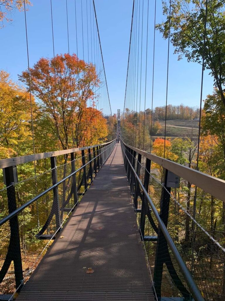 BOYNE's SkyBridge Officially Opens | The Michigan Golf Journal